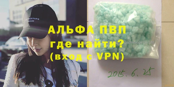 ГАЛЛЮЦИНОГЕННЫЕ ГРИБЫ Осинники