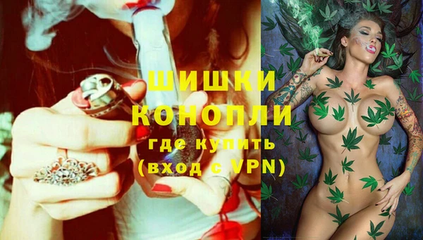 ГАЛЛЮЦИНОГЕННЫЕ ГРИБЫ Осинники