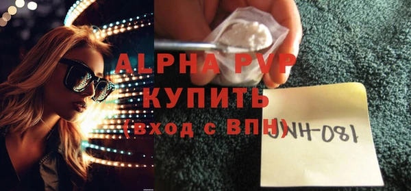 ГАЛЛЮЦИНОГЕННЫЕ ГРИБЫ Осинники