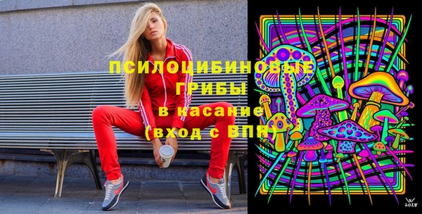 тгк Иннополис