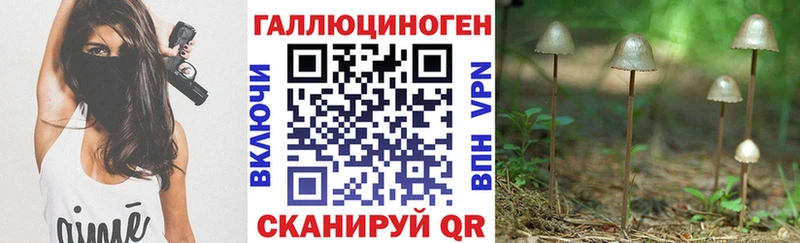 Галлюциногенные грибы Cubensis Армянск