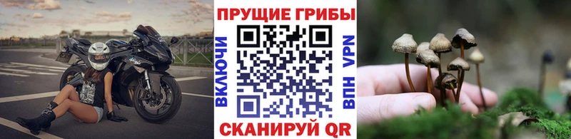 Галлюциногенные грибы ЛСД  ОМГ ОМГ зеркало  Армянск 